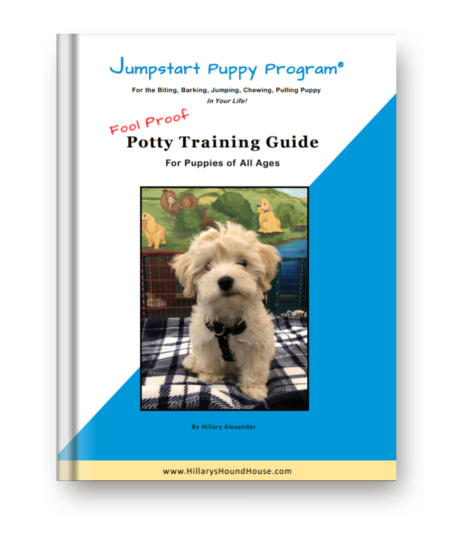 Fool-Proof Potty Training Guide