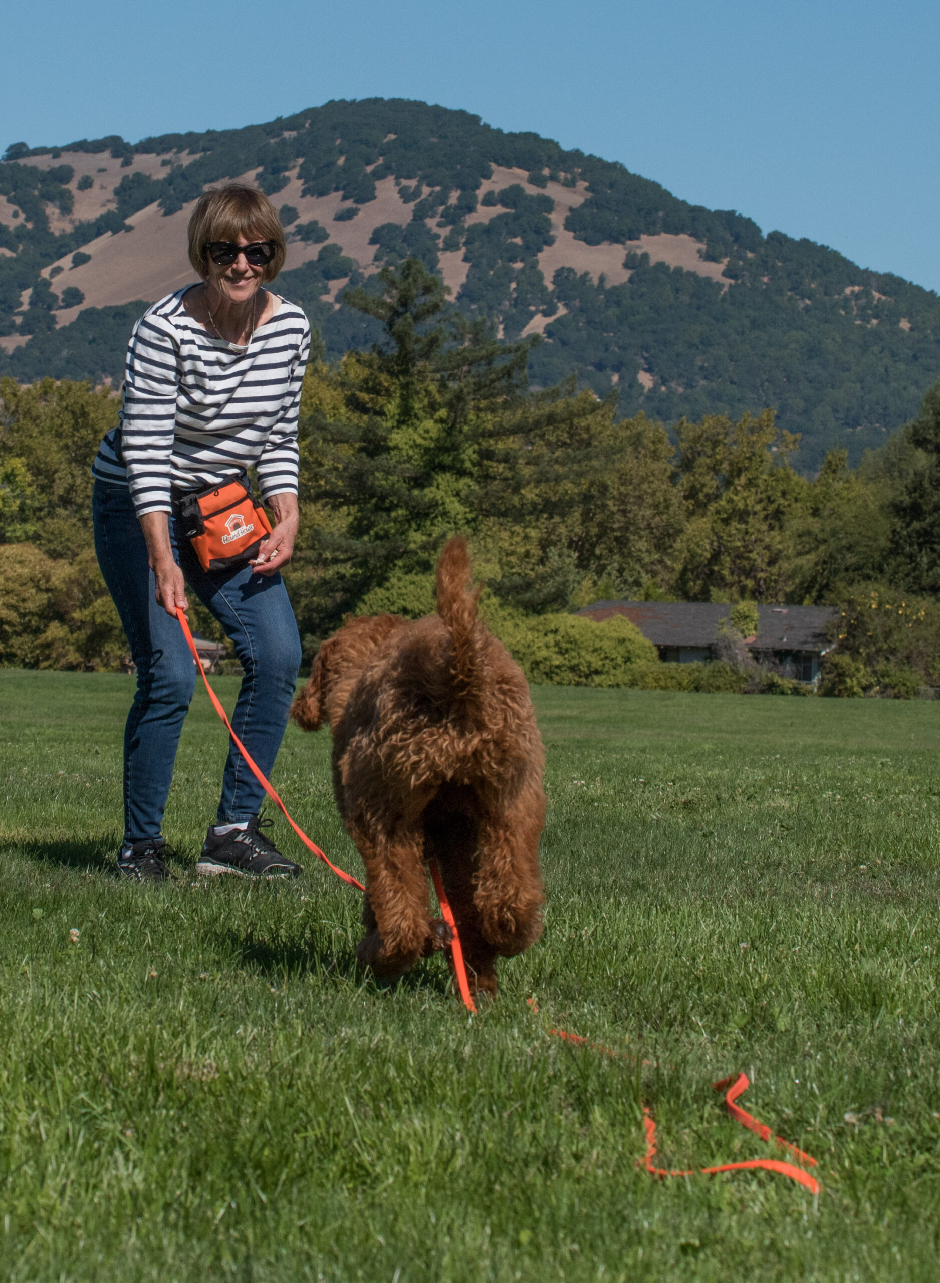 Jumpstart® for young puppies