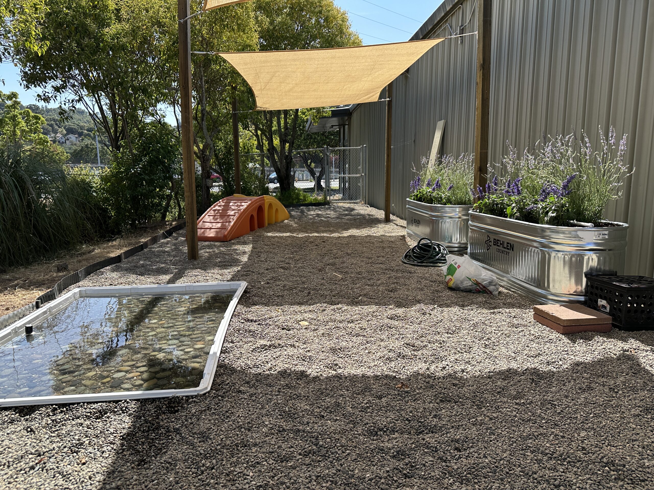 Sensory Garden 4