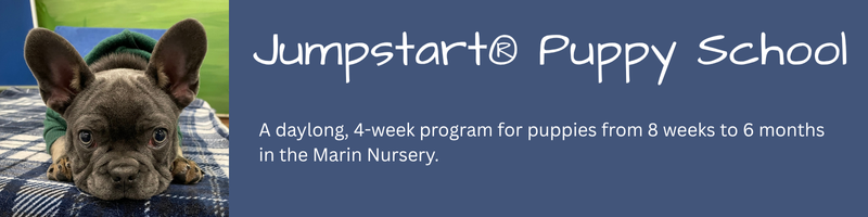 Jumpstart School