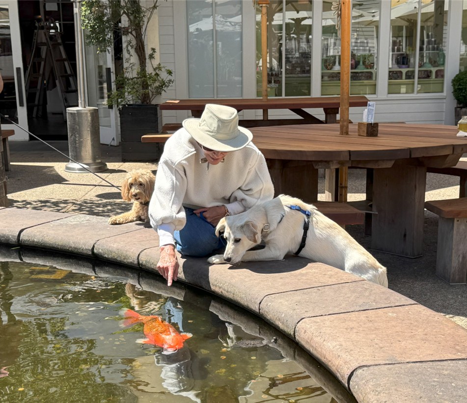 Jumpstart® for young puppies