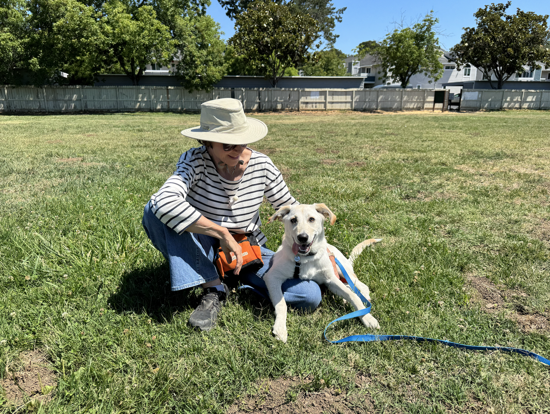 Jumpstart® for young puppies